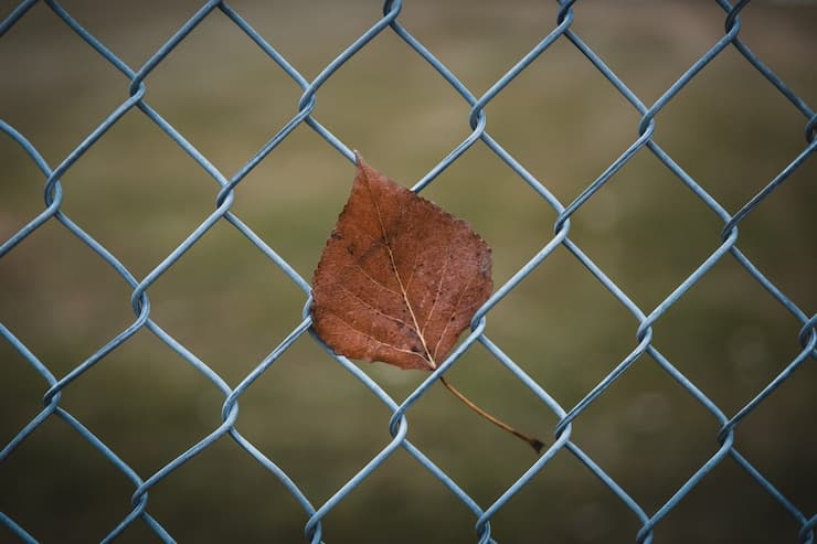 تصویر 2 از خرید و قیمت فنس باغی با فروش عمده